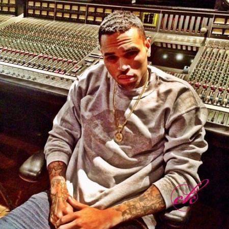 Chris Brown Calls TMZ's Harvey Levin The Devil!